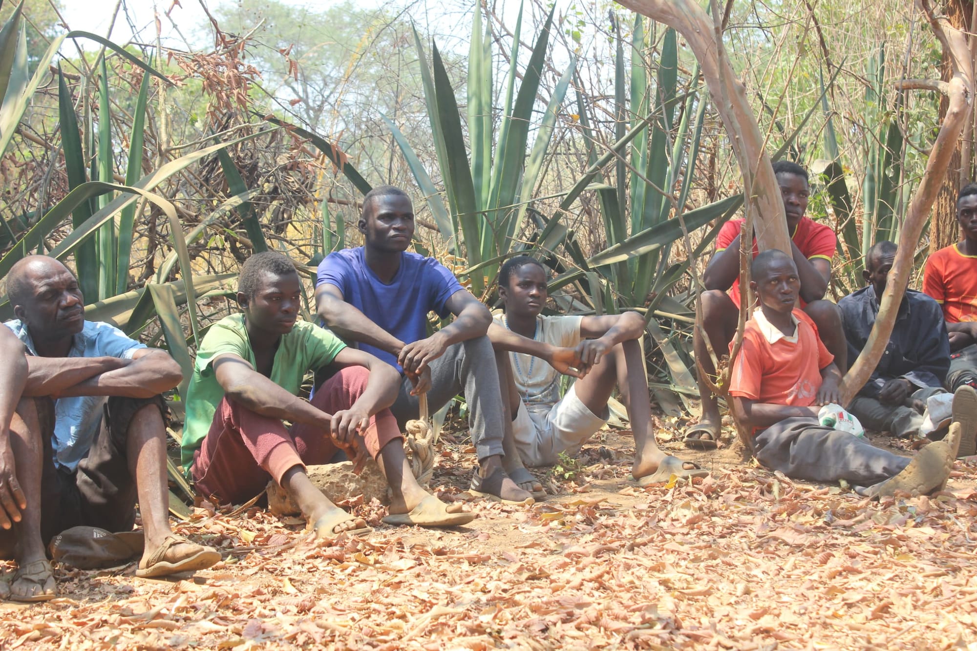 A group of Zambian men sit in a field in a rural area